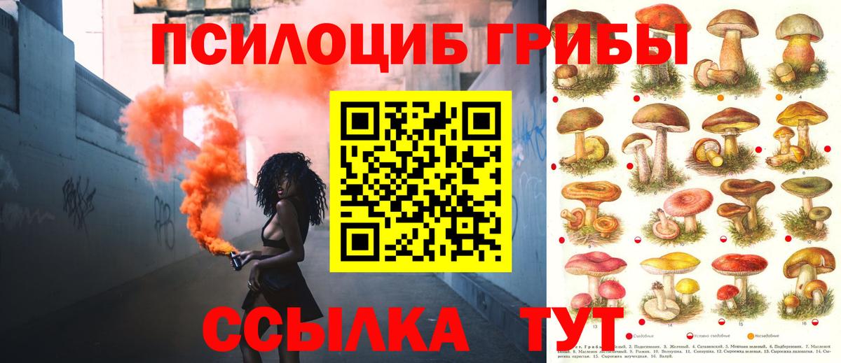 Еманжелинск  Галлюциногенные грибы Psilocybe  Вход с VPN 